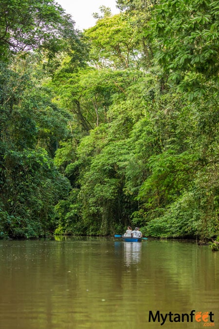 costa rica monkey tours - tortuguero coast to coast