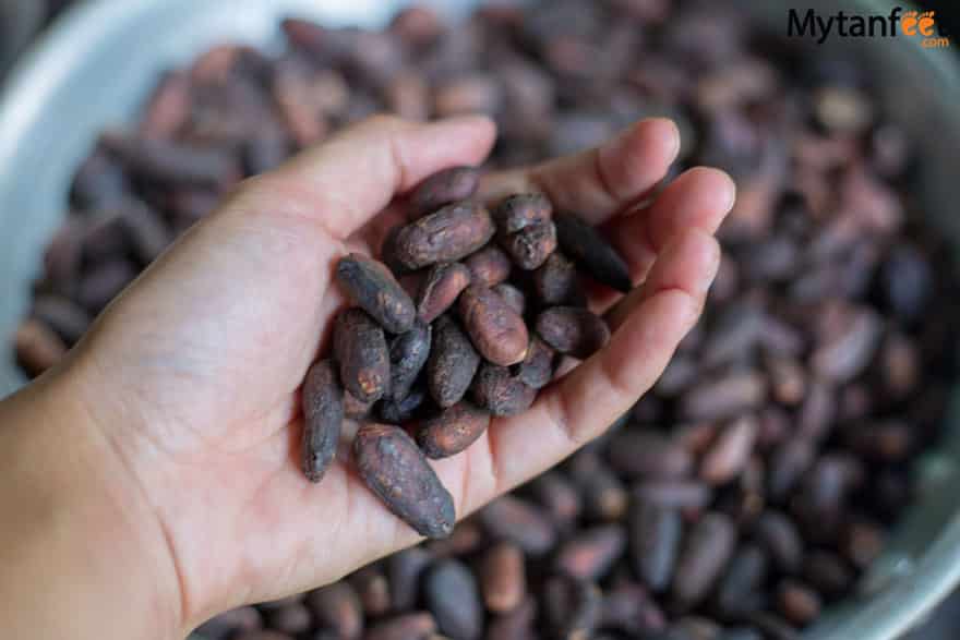 things to do in costa rica -Chocolate tour