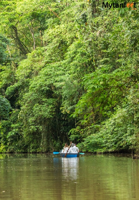 Tortuguero national park Canals