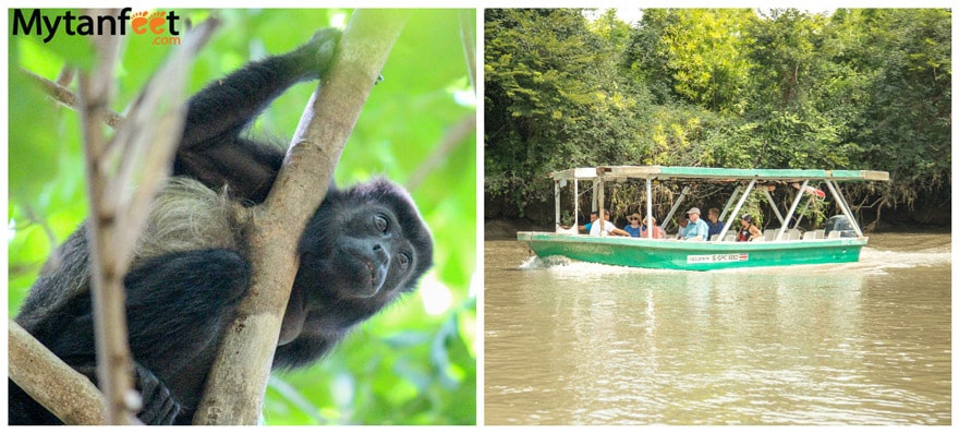 Palo Verde National Park wildlife boat tour