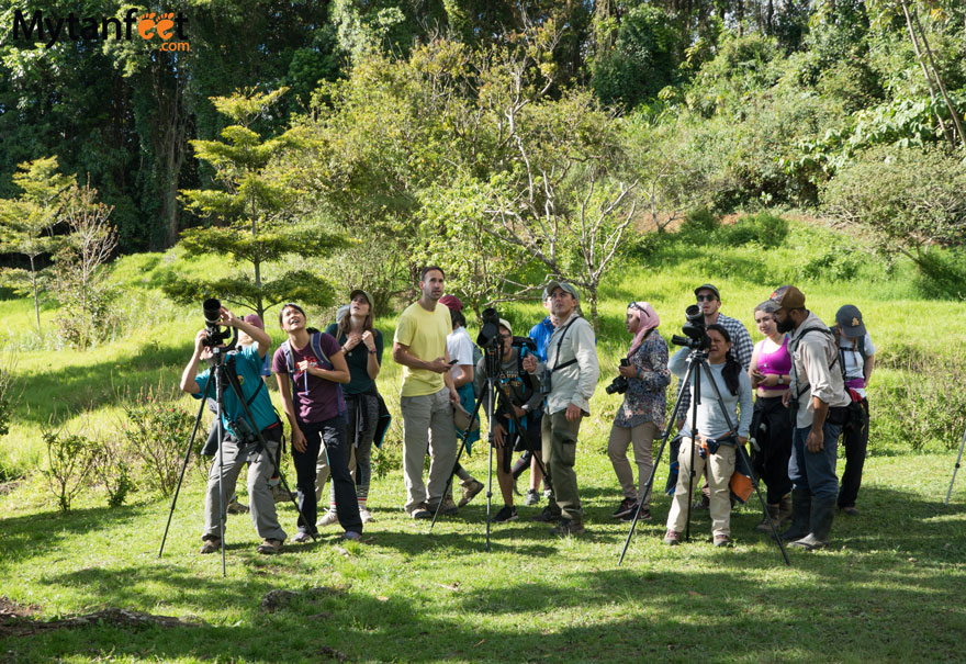 Curi Cancha Reserve - birdwatching