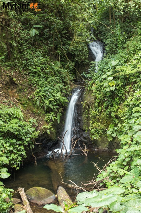 Hiking Monteverde Cloud Forest Reserve - waterfall