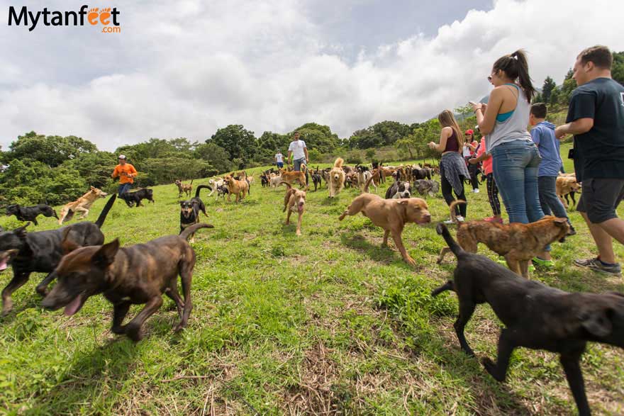 Territorio de Zaguates 