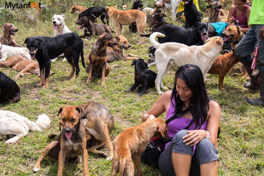 Territorio de Zaguates 