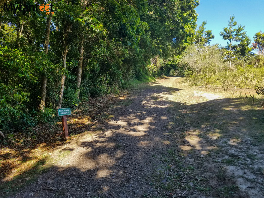 curi cancha reserve - main road