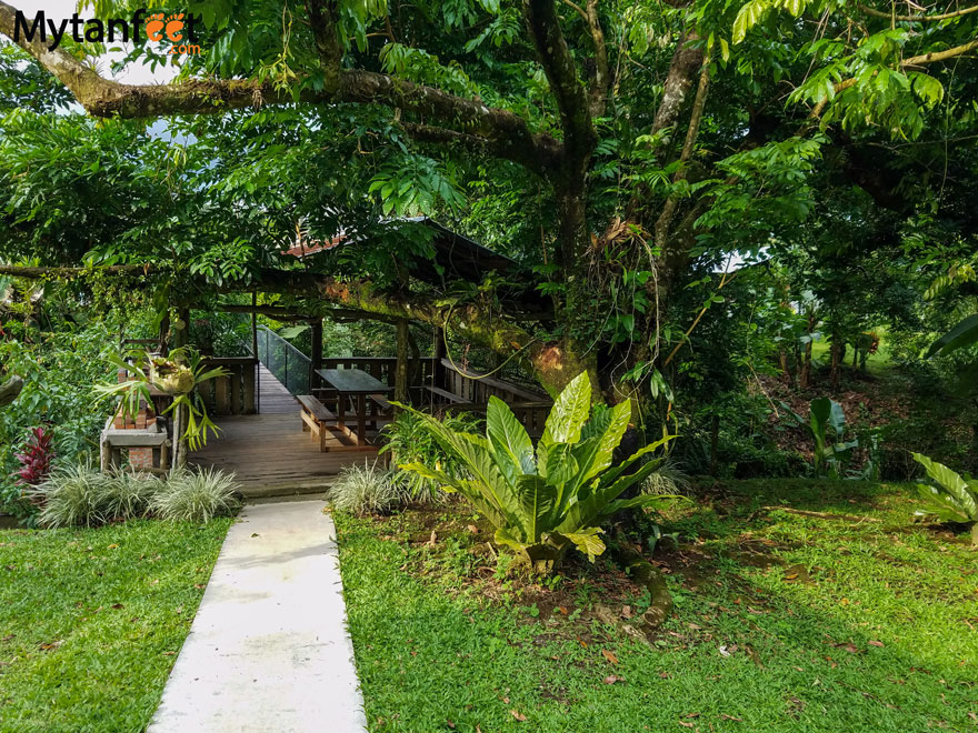 Airbnb in Arenal - backyard path