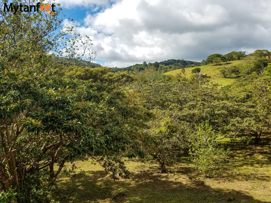 Airbnb in Monteverde - las marias cabinas