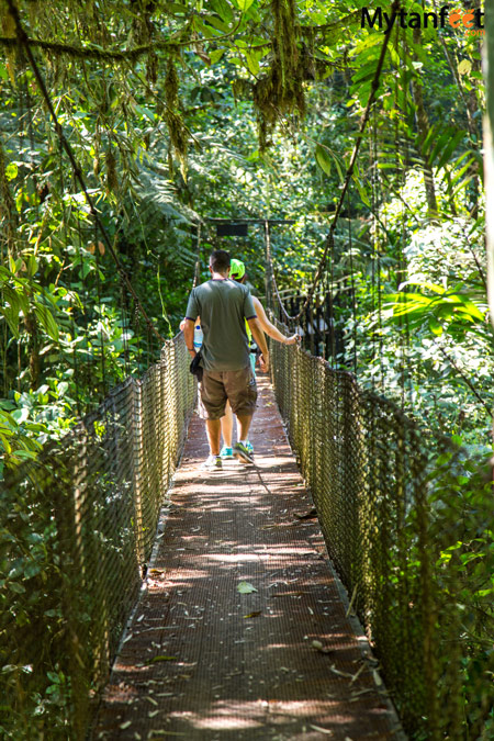 La Marta Wildlife Refuge - hanging bridge