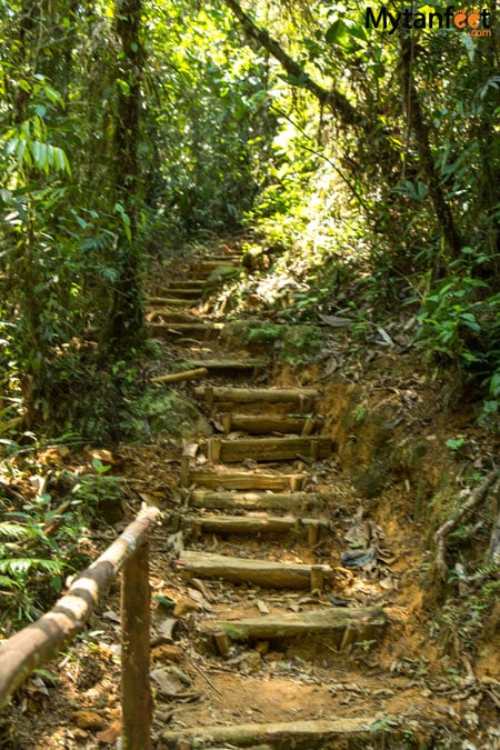 La Marta Wildlife Refuge - steps