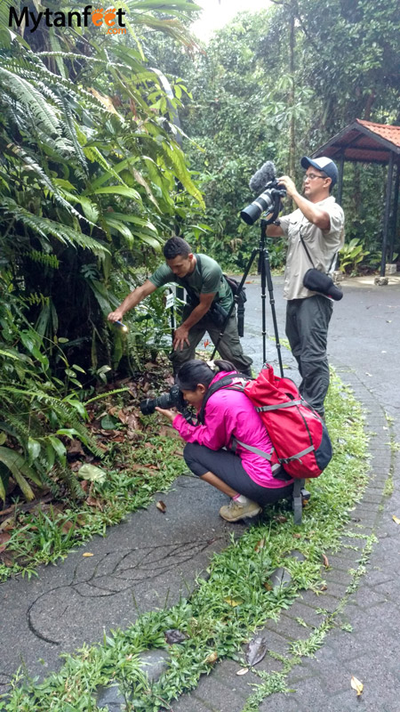 Ultimate survival guide to traveling in costa rica - rainy season equipment