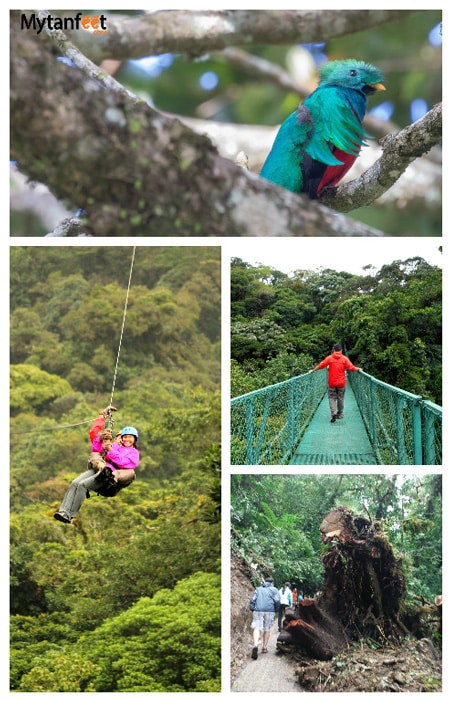 monteverde travel tips - things to do