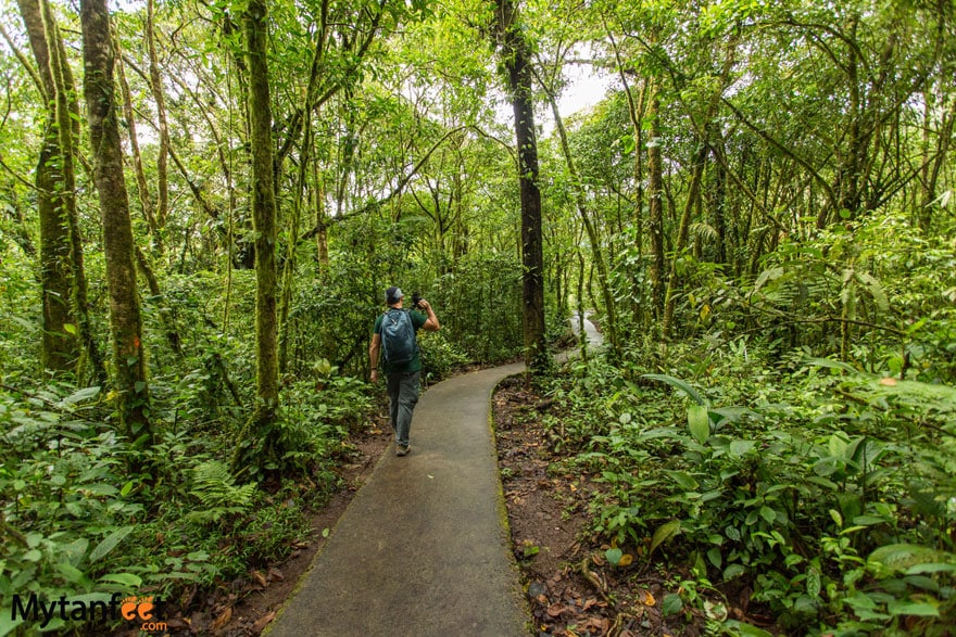 Rio Celeste trail. Photo of a man wearing a backpack and holding a camera, walking on a paved path through the green rainforest 