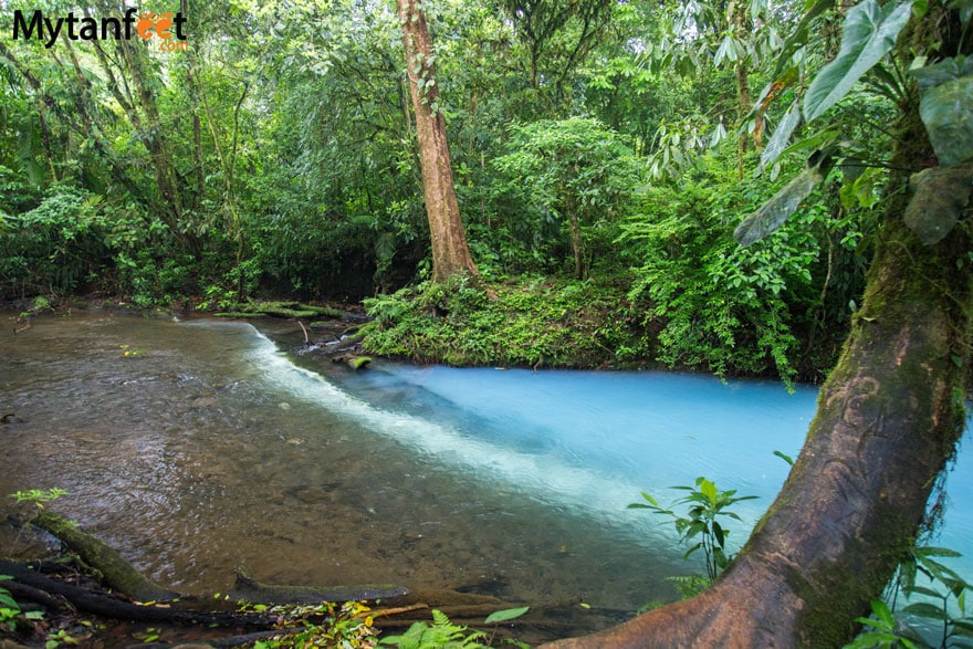 The two blue rivers. Photo of two clear colored rivers, coming together as one to create a sky blue river 