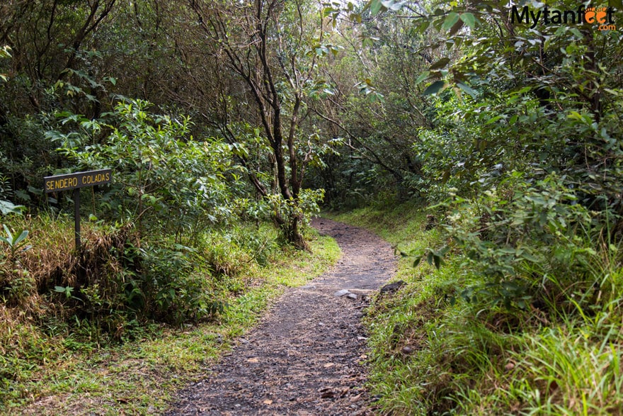 monteverde or arenal - arenal rain forest