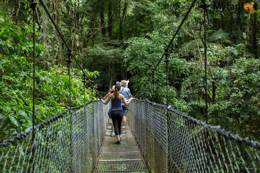 Mistico Arenal Hanging Bridges - bridge