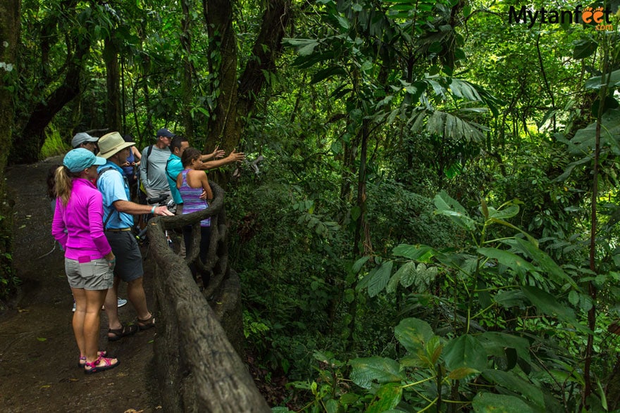 Mistico Arenal Hanging Bridges - guided tour