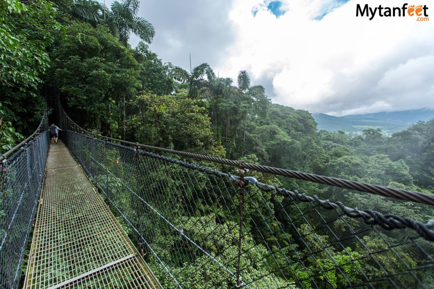 Mistico-Hanging-Bridges-bridge