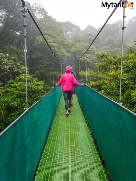 Things to do in Monteverde - Hanging bridges Things to do in Monteverde - Hanging bridges