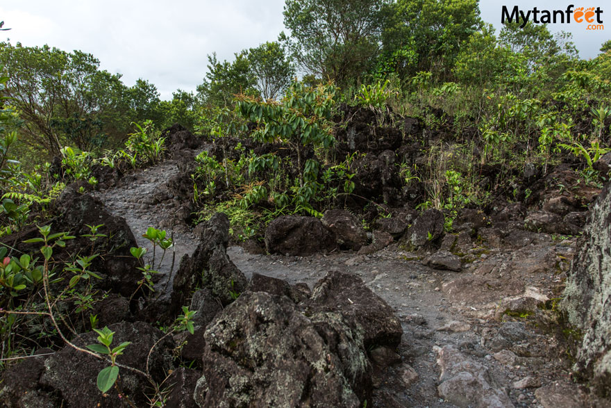 arenal 1968 - Sendero Lava rocks