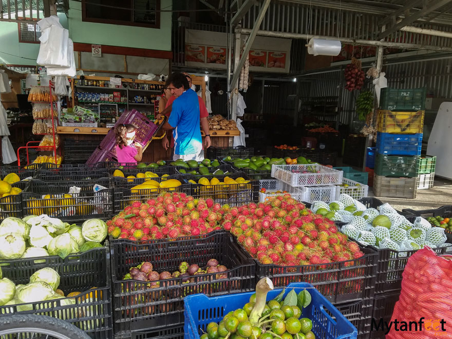 Eating Vegetarian in Costa Rica - farmers market