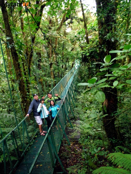 hiring a guide in Costa Rica - hanging bridges