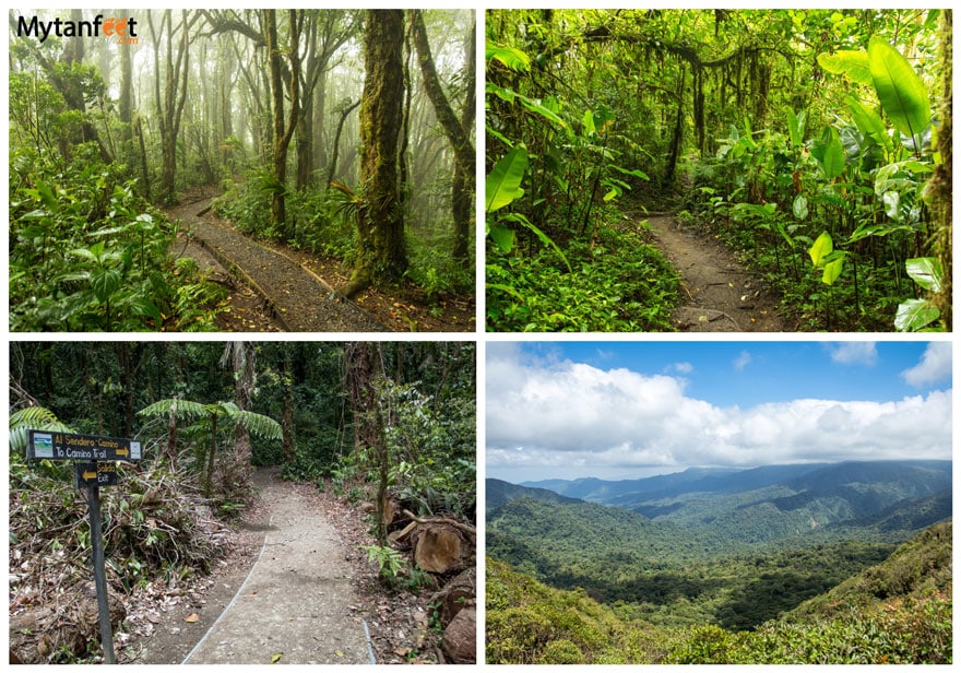 hikes in Costa Rica - Monteverde Cloud Forests