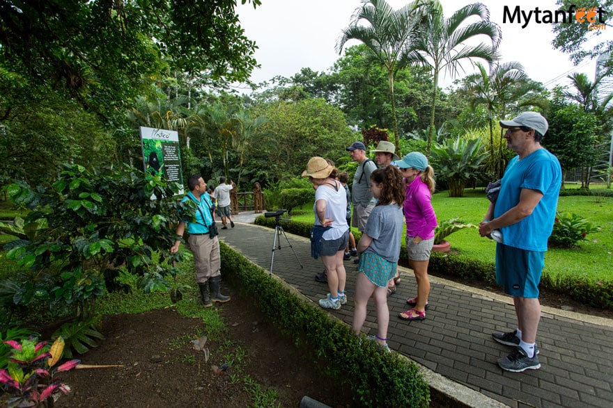 hiring a guide in Costa Rica - hanging bridges 