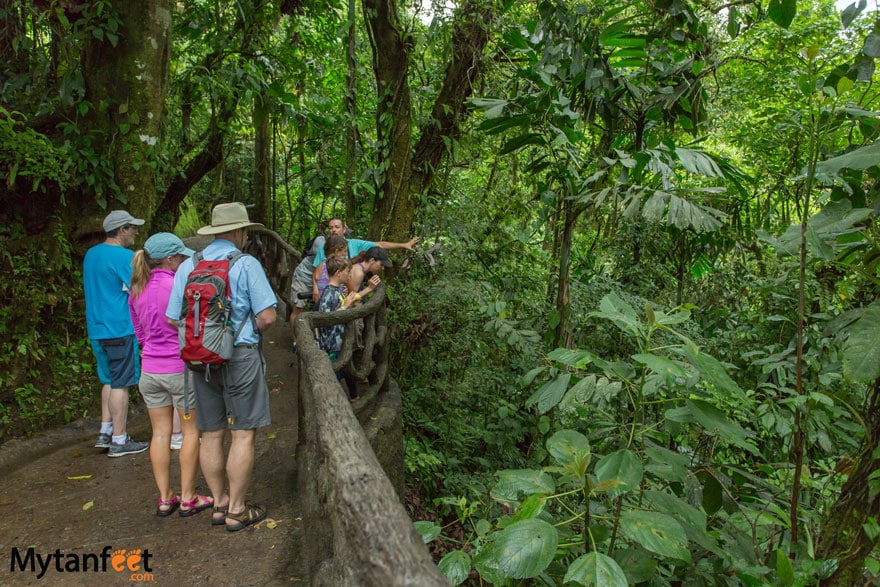 Arenal 1968 nature walk