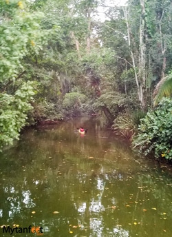 Things to do in Punta Uva - kayaking Things to do in Punta Uva - kayaking