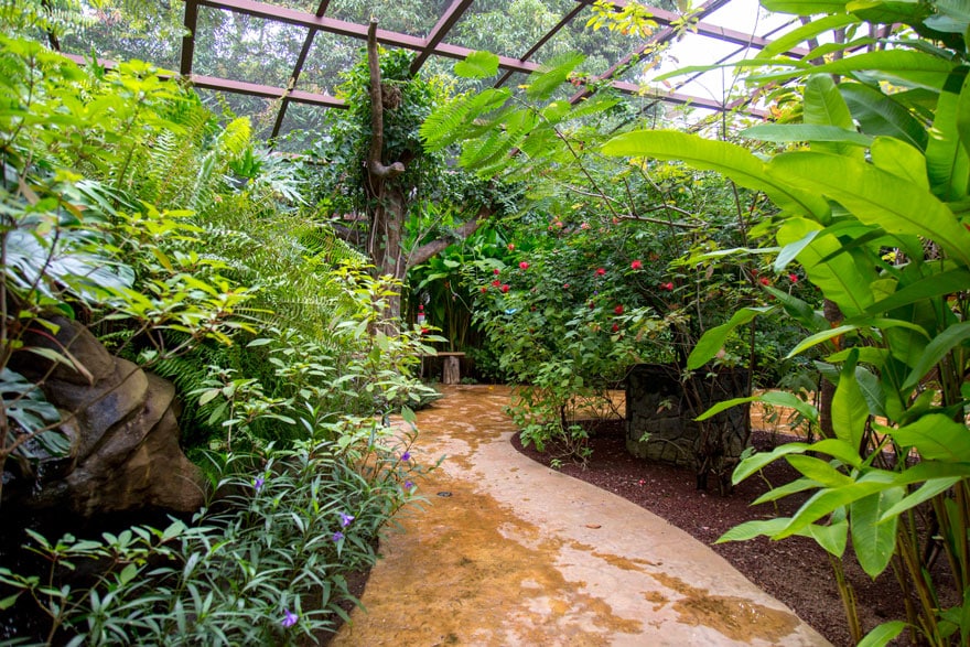 Diamante Adventure Park - butterfly garden