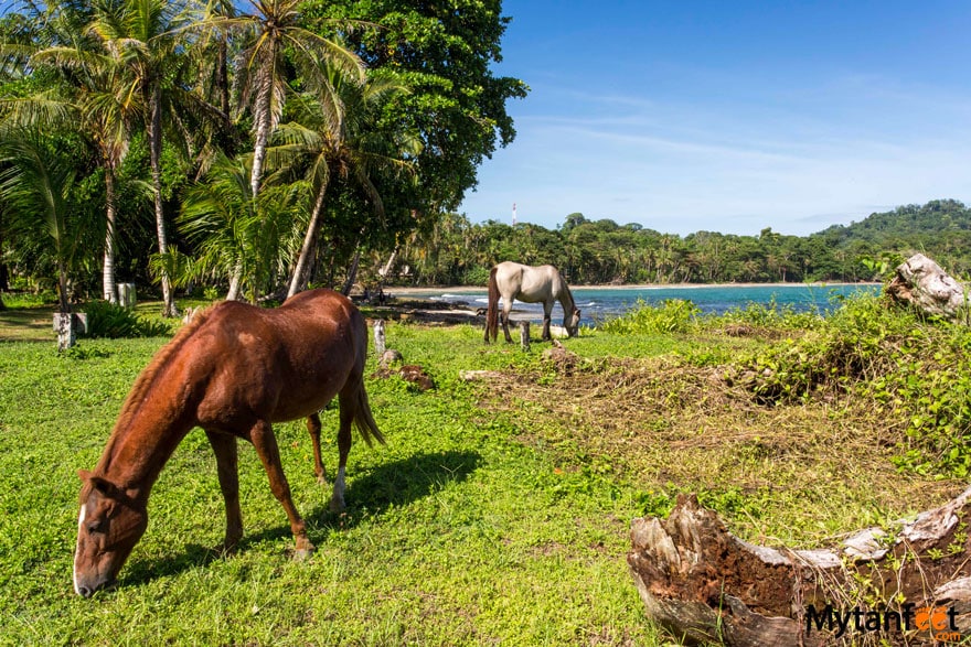 Playa Chiquita beach