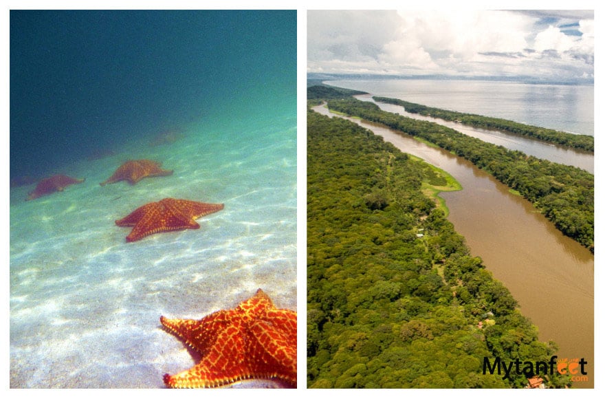 Things to do in Puerto Viejo - BOcas del Toro or Tortuguero overnight trip Bocas del Toro, Panama and Tortuguero National Park