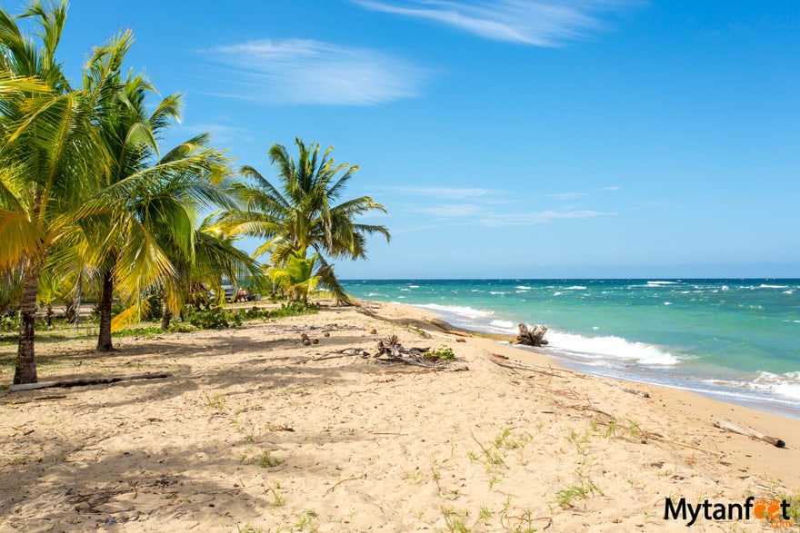 puerto viejo costa rica beach