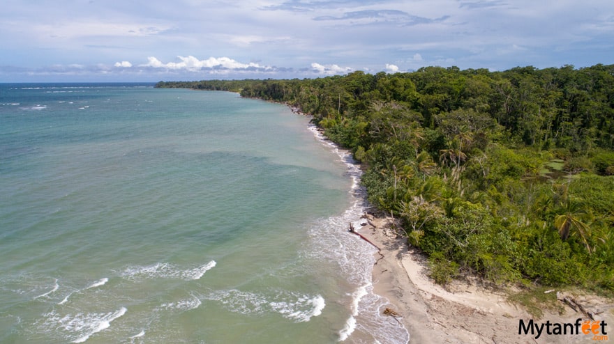 Things to do in Puerto Viejo de Talamanca - Cahuita National Park