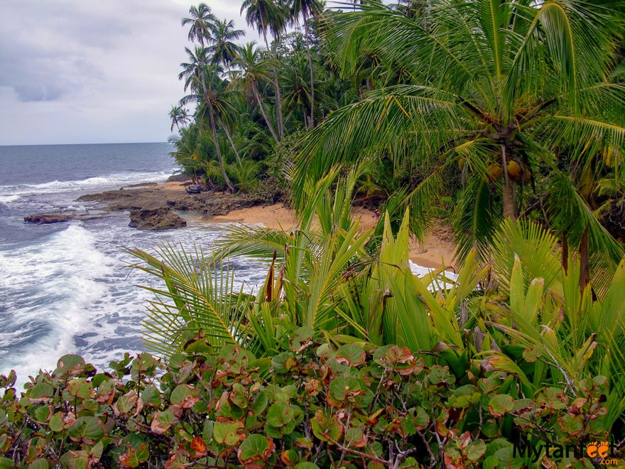 Things to do in Puerto Viejo de Talamanca - Gandoca Manzanillo wildlife refuge