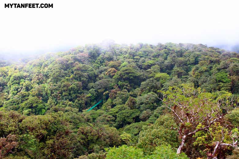 Monteverde, Santa Elena Cloud Forest Best places in Costa Rica for first time visitors - Monteverde and Santa Elena