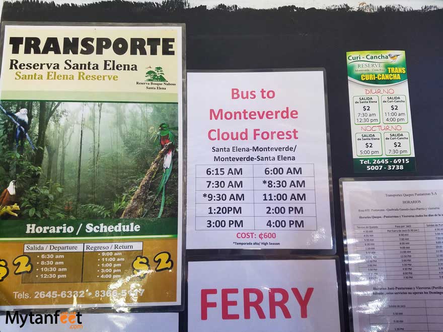 Monteverde bus schedules