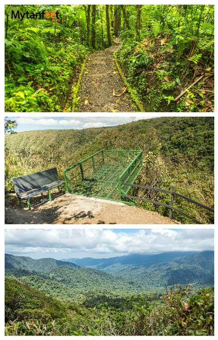 Monteverde cloud forest reserves