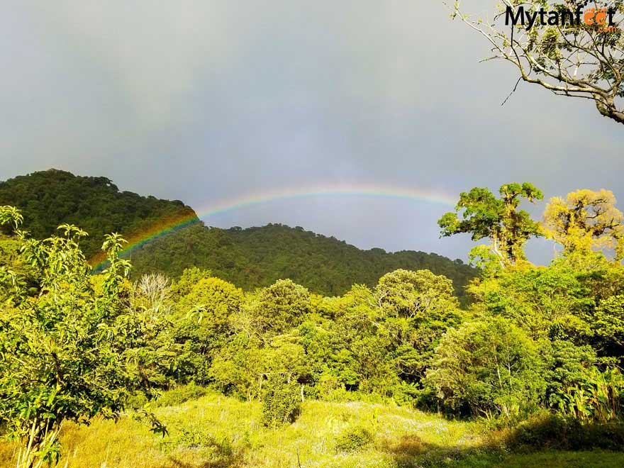 Monteverde landscape