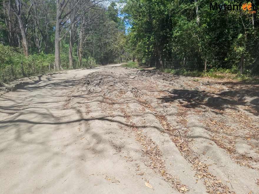 Playa Barrigona Costa Rica road