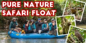 pure nature safari float featured image