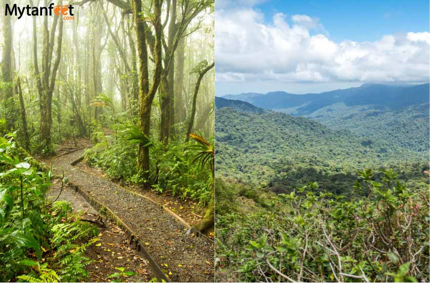 Santa Elena Cloud Forest Reserve and Monteverde