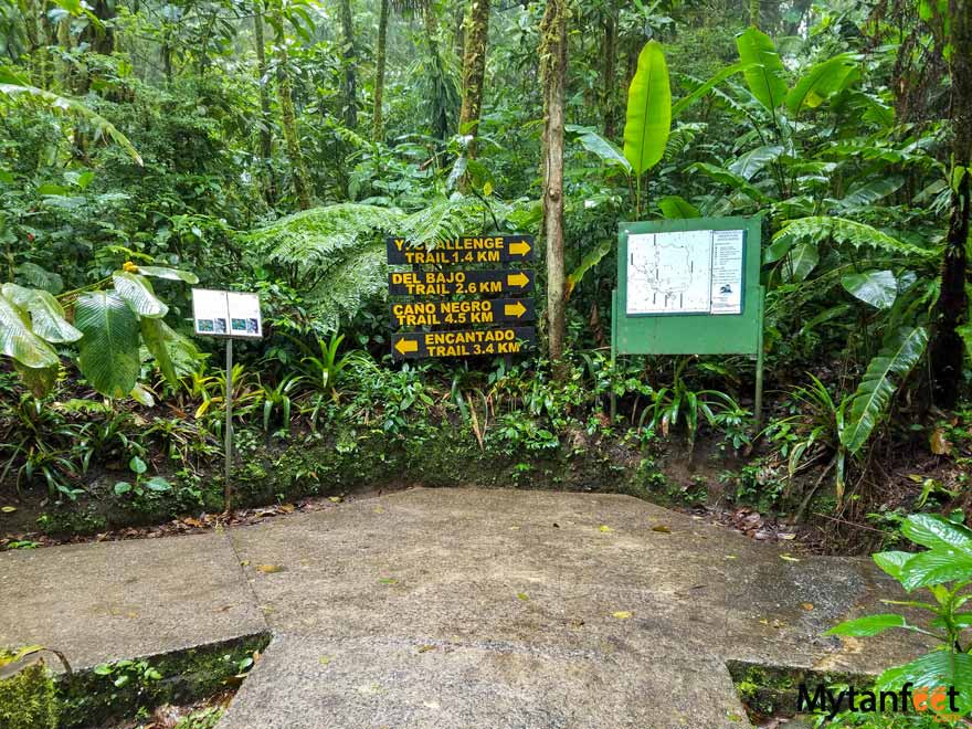 Santa Elena Cloud Forest Reserve hiking trails