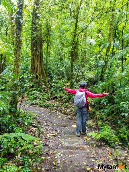 Santa Elena Cloud Forest trails