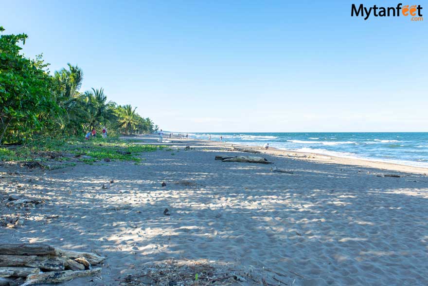 Tortuguero, Costa Rica - Tortuguero beach