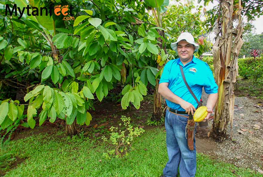 Coffee and chocolate tour La Fortuna - Cacao