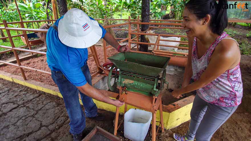 La Fortuna Coffee tour - peeling