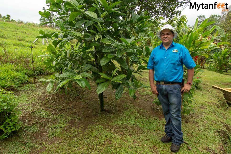 La Fortuna coffee tour - Arenal Vida Campesina