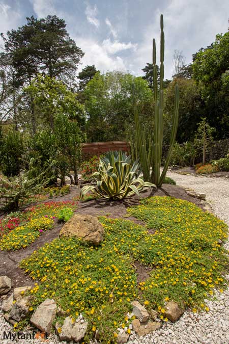 Lankester Botanical Garden 