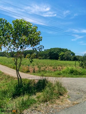 Playa Linda Matapalo Costa Rica beach entrance